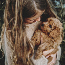 Last inn bildet i Galleri-visningsprogrammet, Nabojentegenseren // no