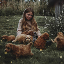 Last inn bildet i Galleri-visningsprogrammet, Nabojentegenseren // no